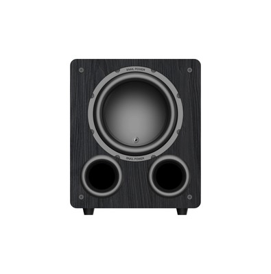 Qualità C110 Subwoofer per home theater attivo da 10 pollici 500W RMS 25Hz Bass ultra basso Fabbrica